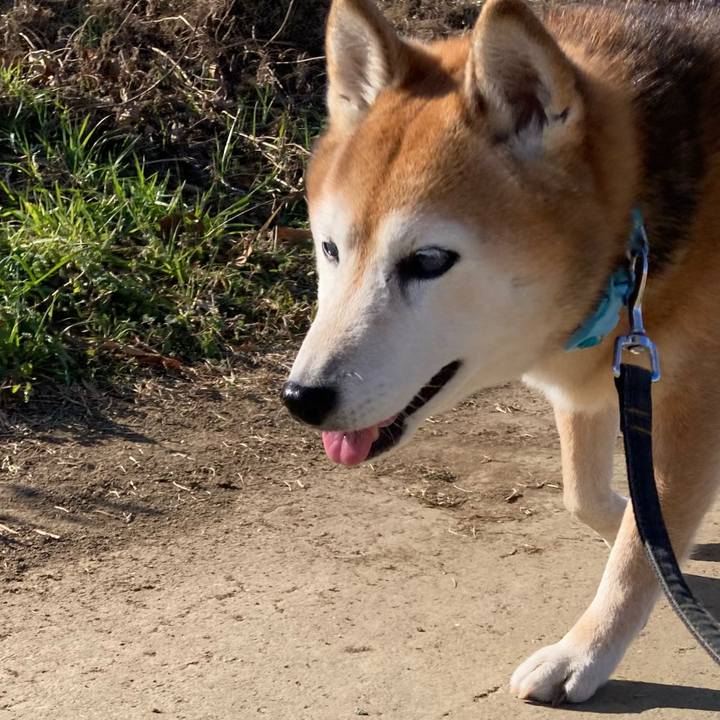 643321bf c56d 49c7 97f2 a7820960172f 1765174330112