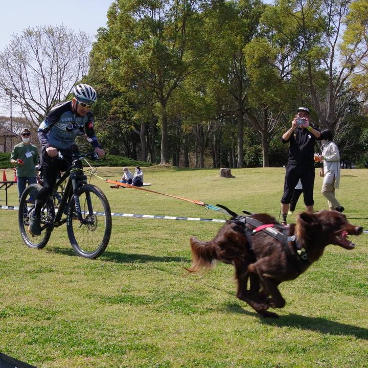 64332416 6a2d 4f5e 8cd7 f7ee77e6f61a 1617144698151