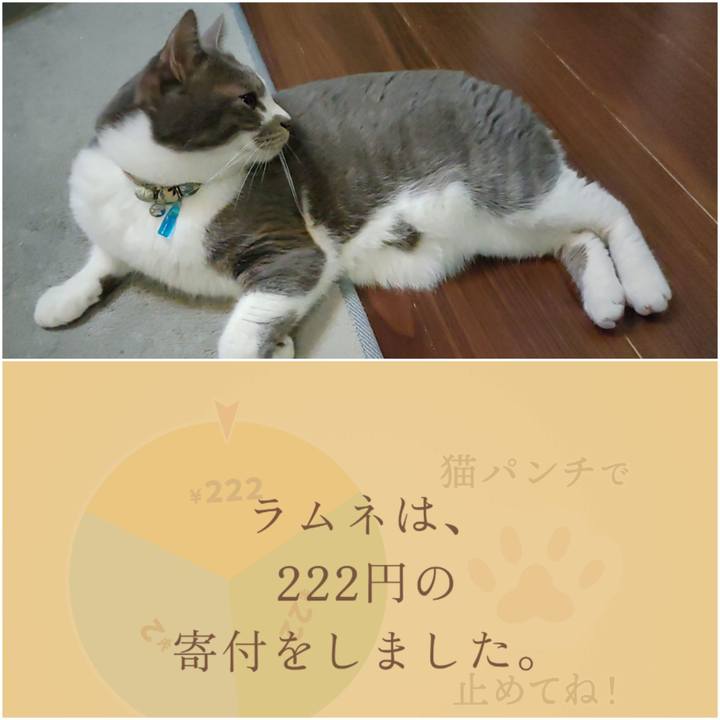 64333559 99b8 4230 824f fe52f8713ad3 1708312343101