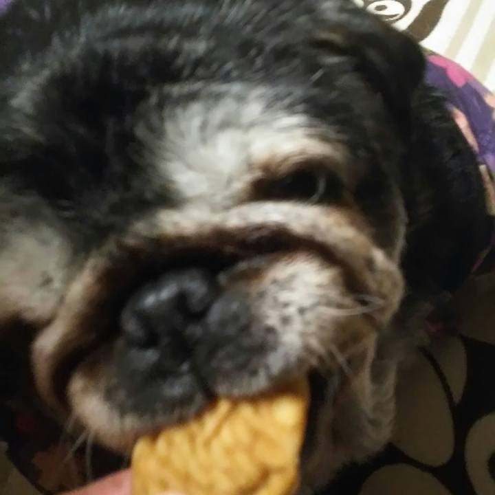 64339a64 d36b 44ce a478 c1c165011224 1514201446799