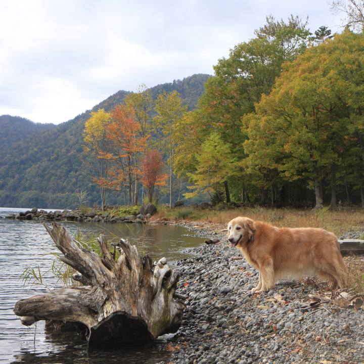 6433a326 d284 4fd3 99d5 fb5281c13353 1761556498322