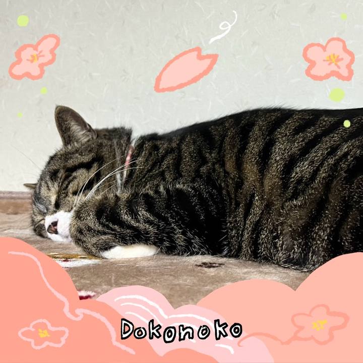 6433a755 9c42 4d92 8b47 513bffdc97e4 1775434341202