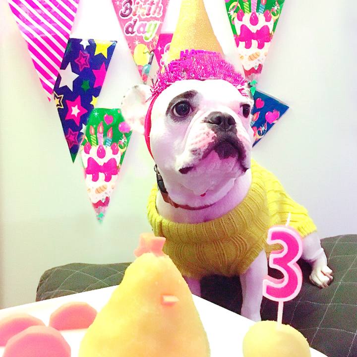 6433cd2e 0214 45b4 b963 fcbcb87a38dd 1511962790618