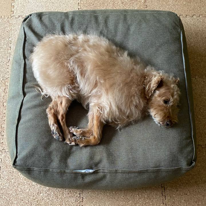 6433fd6d d724 49b7 91ea 8c658e0e95e4 1685240593035