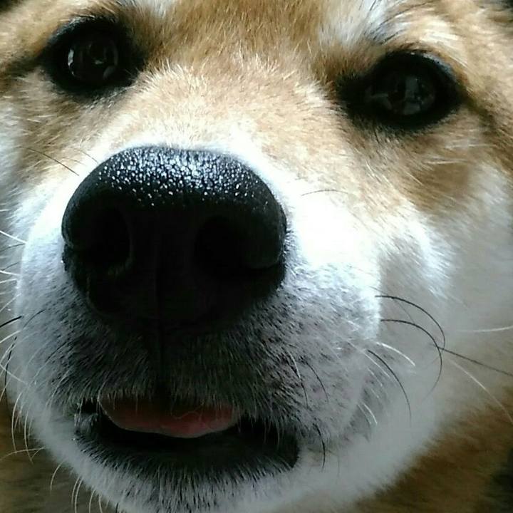 64345667 d703 4352 96eb 675dbd779011 1528970551228