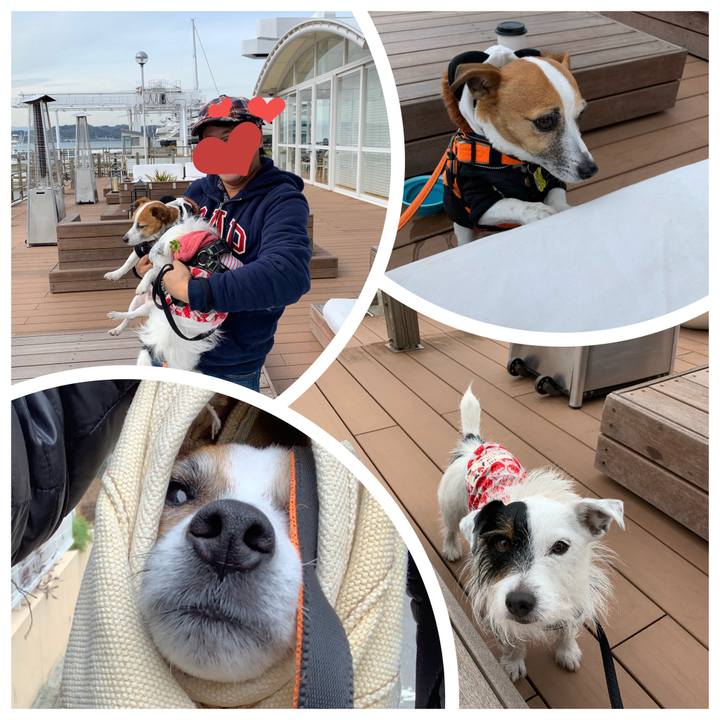 64347810 97c9 4ea3 a66c c7d8d686b219 1579241603718