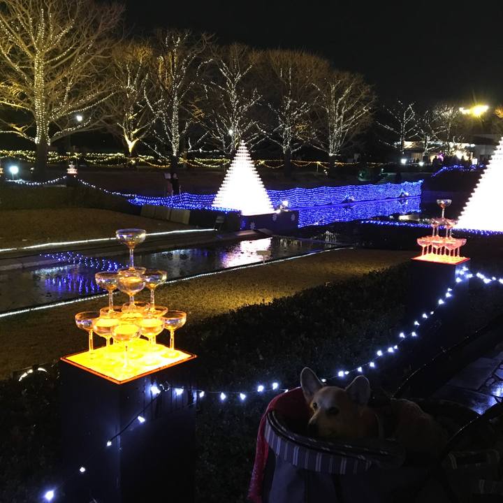 64348d19 1a86 4595 b2c9 726cec12f352 1545488724133