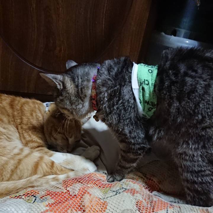 64349370 517d 4503 ac60 c9f49fe36f6c 1587125873343