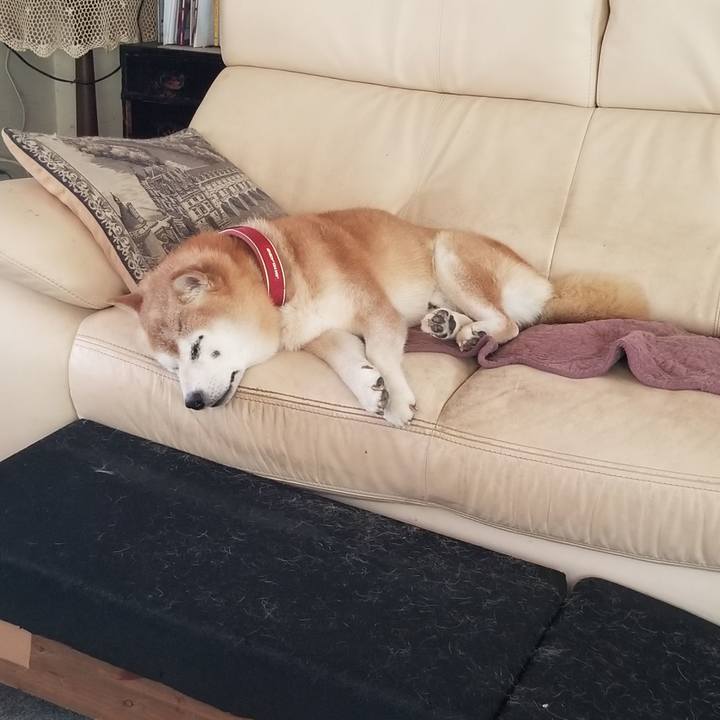 64349423 d4ba 4763 9ed2 3d2cda7d65a8 1753240625395