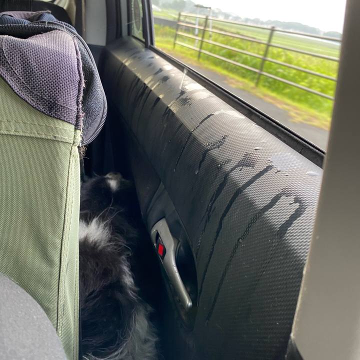 6434a15b 2730 4e3c 8921 0d4d599a24e4 1657141198723