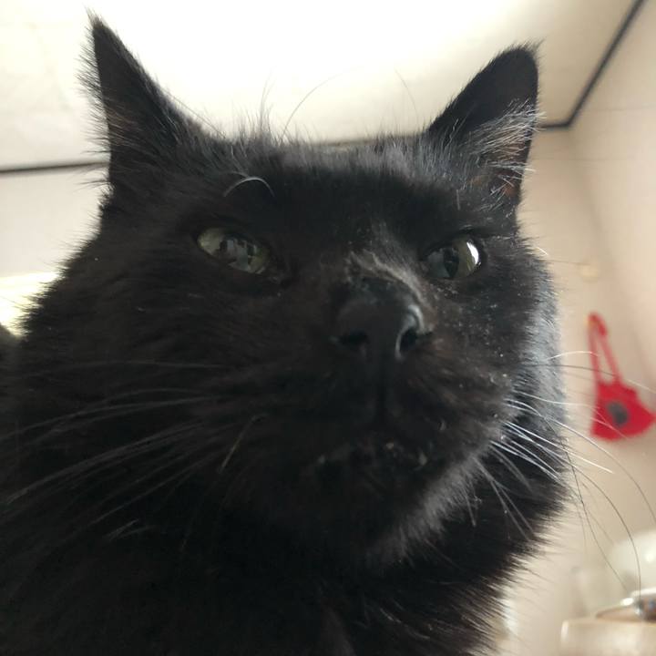 6434c2a5 0c48 48ed 95b1 ab4104964ca9 1614381648626