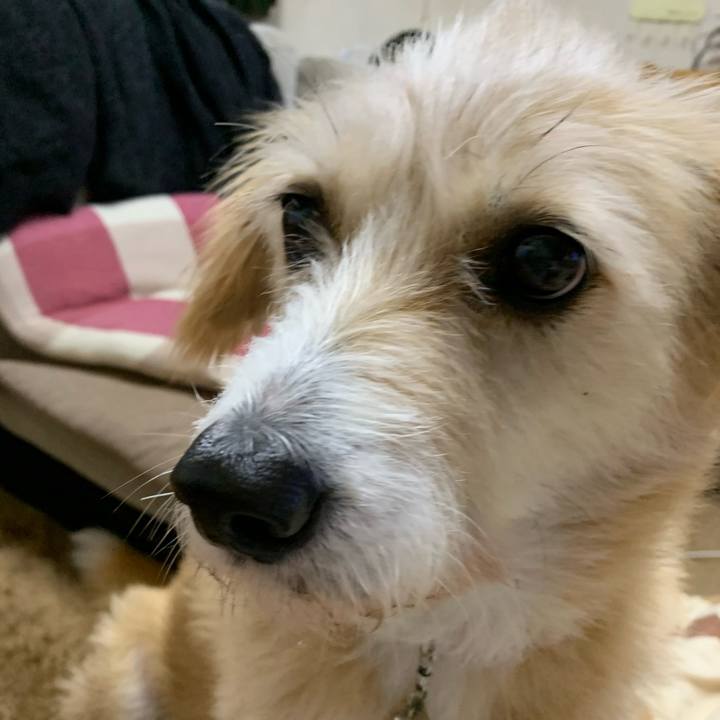 6434d8fe 0f74 460f 8c01 8a1a61c8ffdf 1574835318308