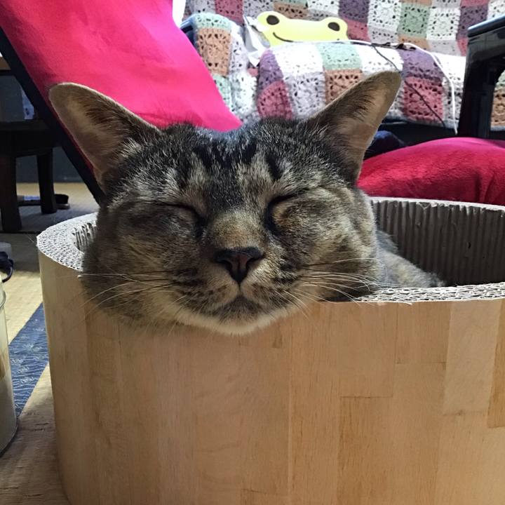 6434e05c f3ec 42de 9312 3bbe3fc2faf8 1720177492084