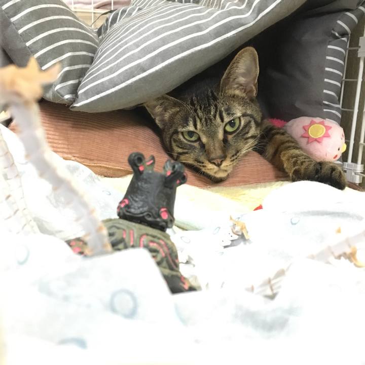 6434f4de 8780 4b3f 98b4 f4f935906238 1561076668564