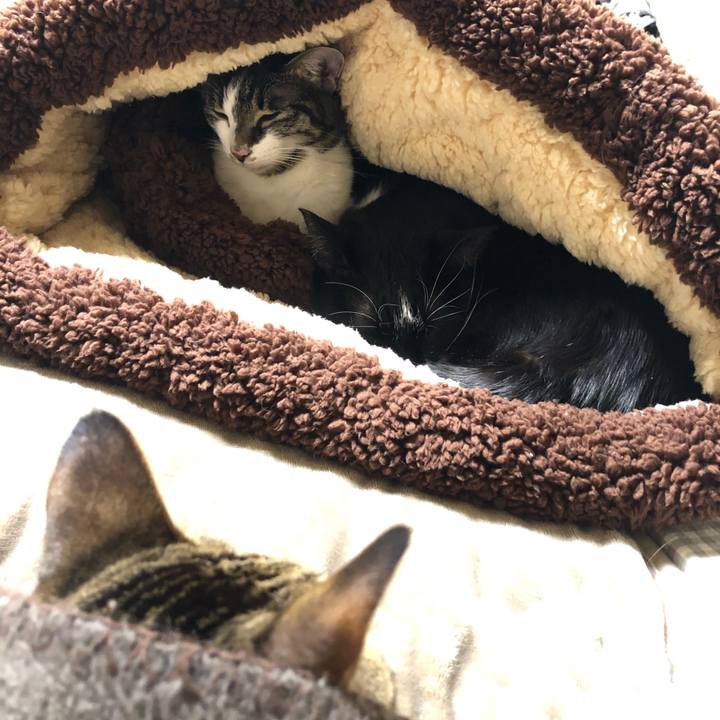 6434feb9 d2ef 4c29 a14c 4204c93e9f8d 1608643915419