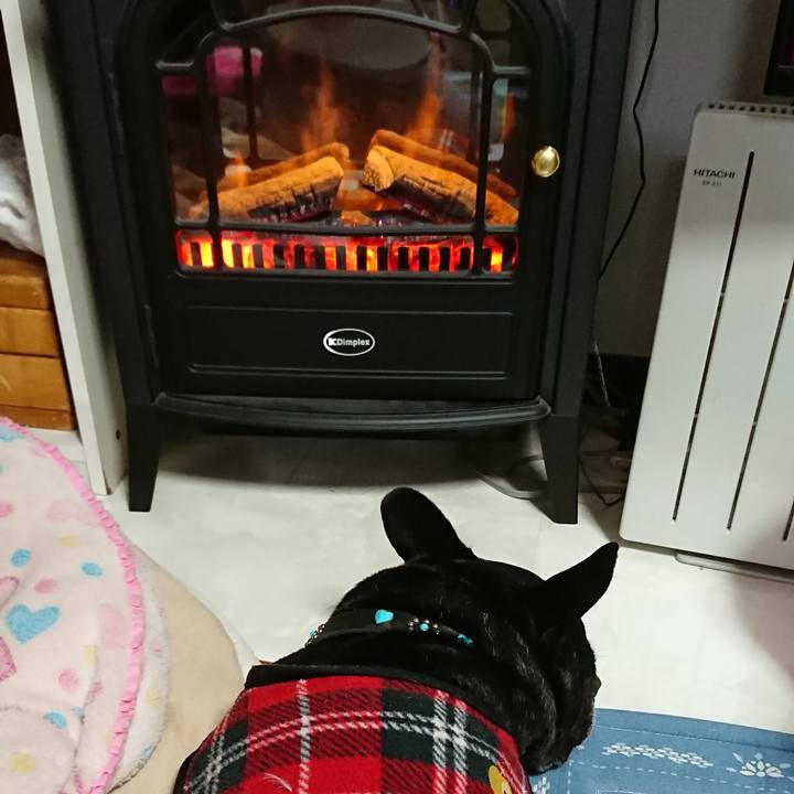 6435126d 51cb 43fe 9f5f c9376e561b7d 1606212077053