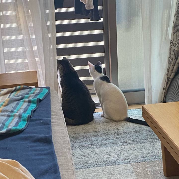 643512a3 3822 468c 9ab3 73caafd12428 1670668510008