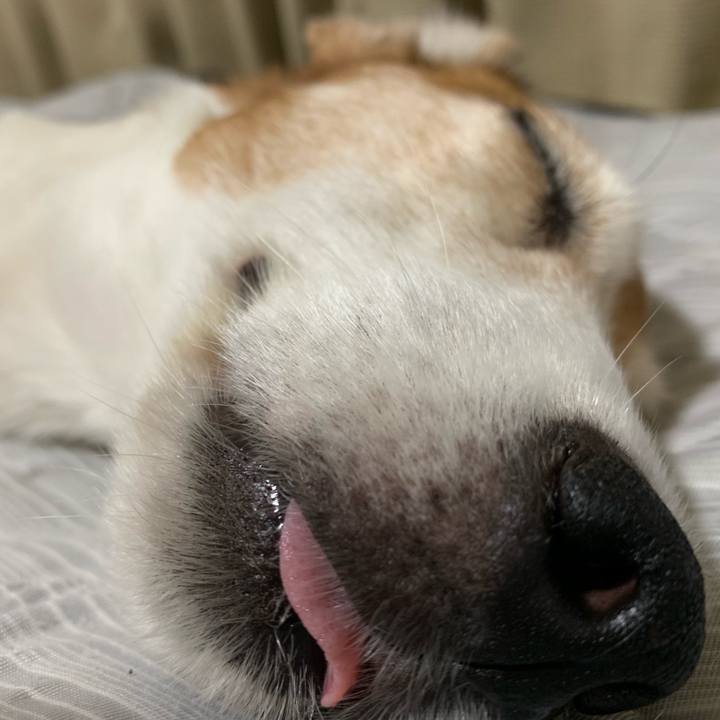 64355f4b 7ba0 4e05 86d9 2cfc1e95d94d 1565914989848