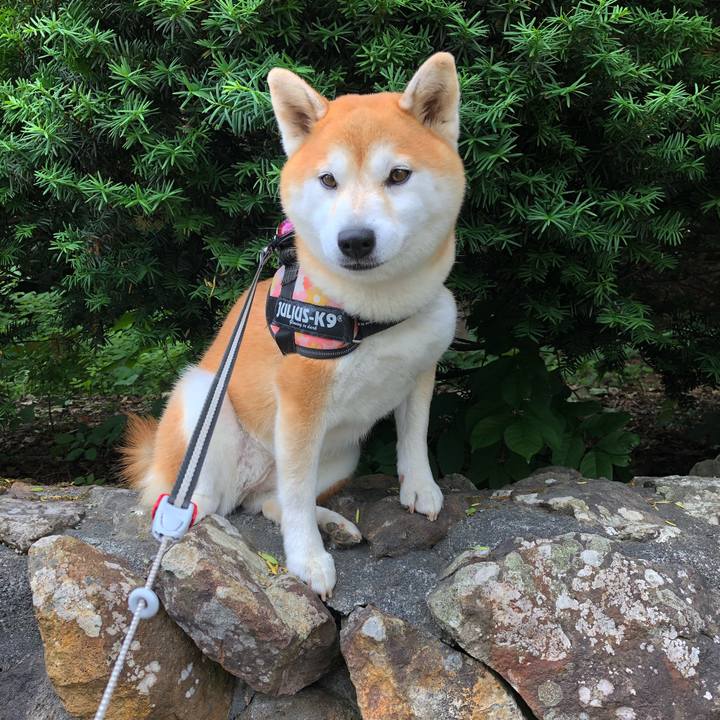 643583e3 16fd 44b9 852c 9df94d56115b 1592269666205