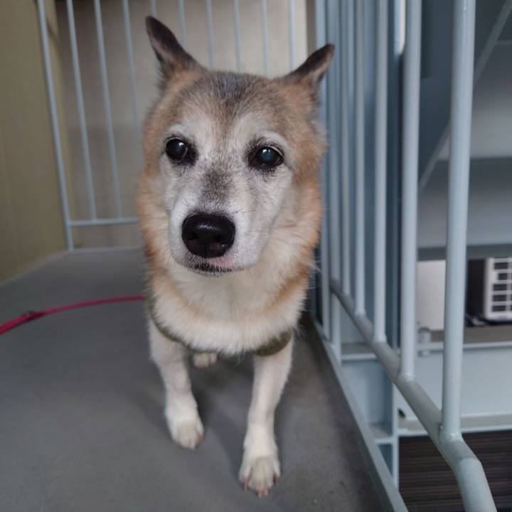 64358f4c 74f6 4551 a8b5 6bd557f09b64 1761720971339