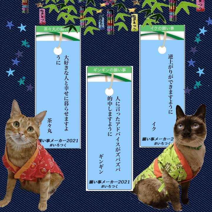 64358fce 6818 43fc a9bd a7077ab52570 1625521260767