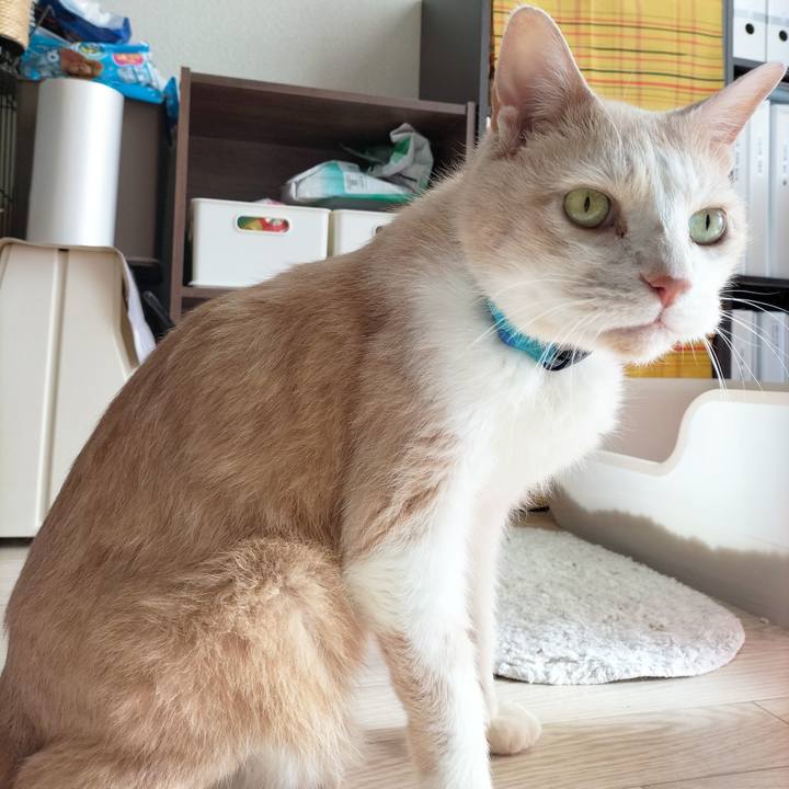 64359a2a 2d23 4d63 bcd0 233dfd6e679c 1679181708934