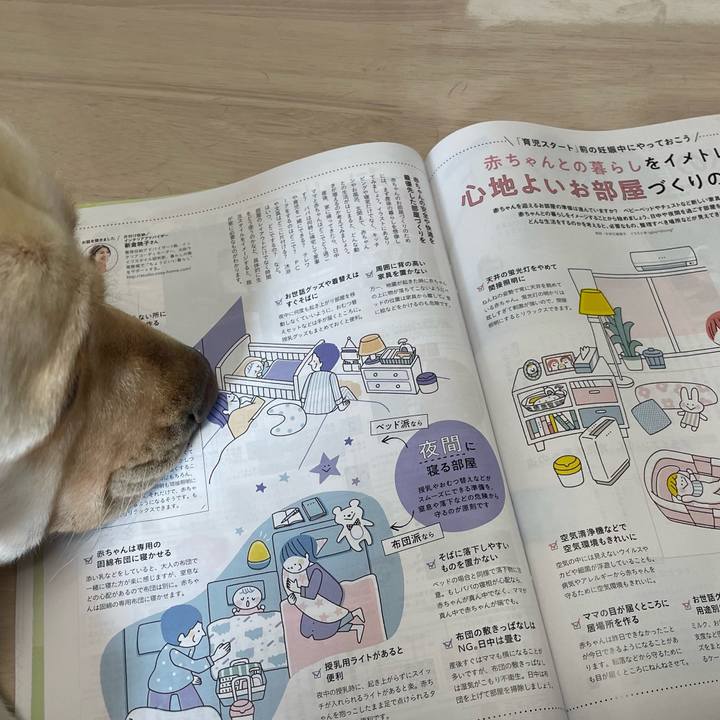 6435d46e a72d 4738 b8a9 54ec061f5c2d 1698039637148