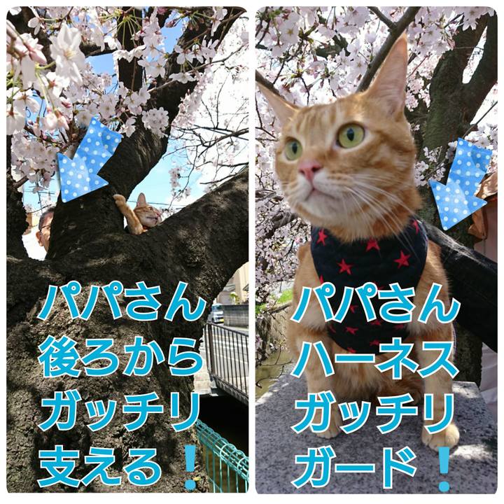 64362611 e702 4669 b2d7 12ab7036f250 1554024658543