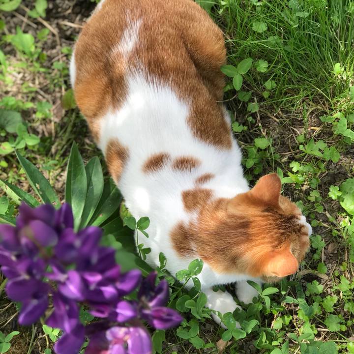 643654f9 2360 43e6 80f6 a6b6102946ed 1529043742220