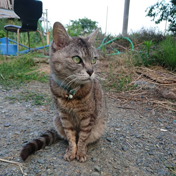 64368f16 27fb 4404 a4c0 8d303f6786f8 1562751377218