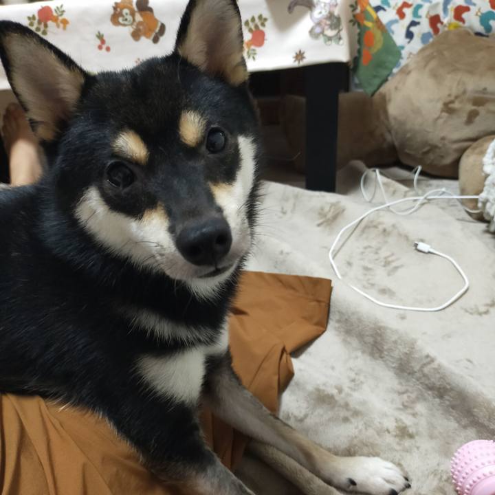 6436b312 2d13 46d1 852e 574134aa4ed8 1594978895144