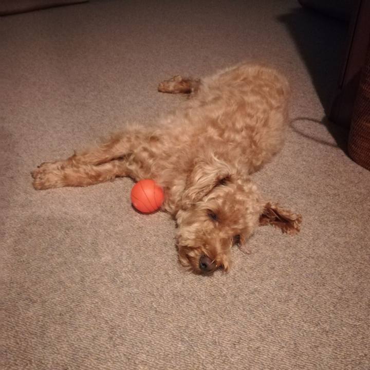 64374470 b6b1 449d b537 a0b7b6030b2c 1532990203452