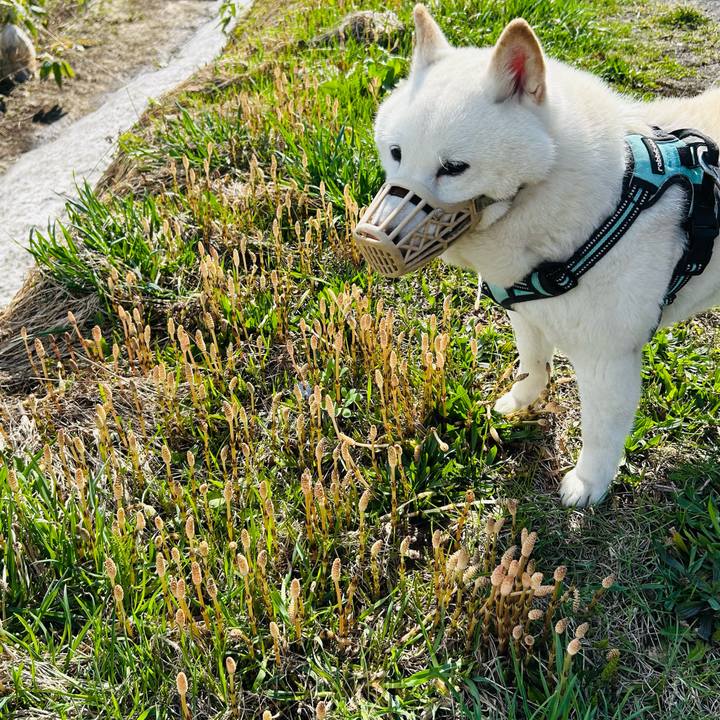 64374c65 8bca 4150 a28c be79d9f8ad13 1745625072891