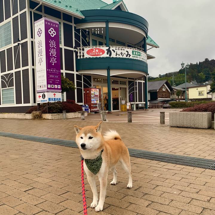 64375c5f def8 44e5 a287 91dcc8abde3f 1676285509301