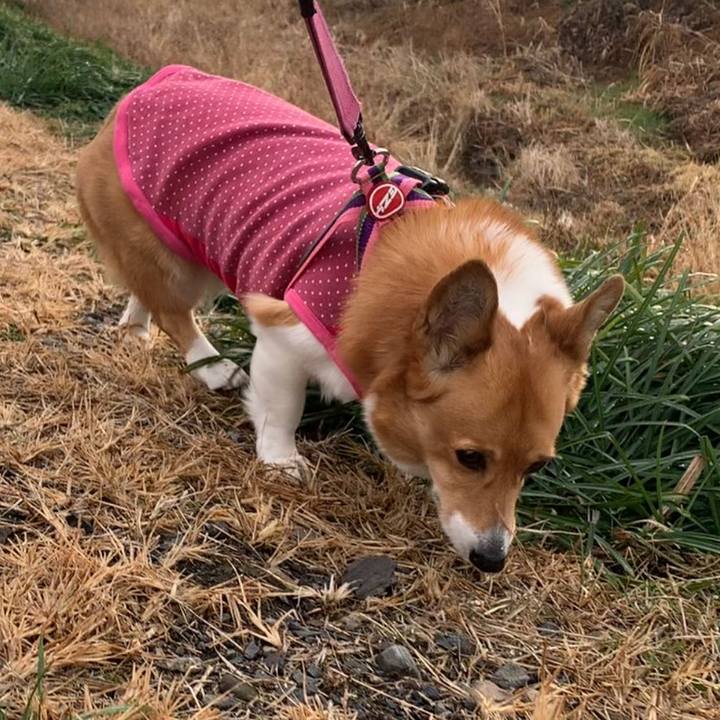 64375d5b d764 4af3 818c ee197284fd5f 1673852997287