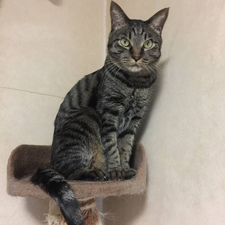 643774a2 c76b 4240 9c5f 55186159f3a3 1519388379258