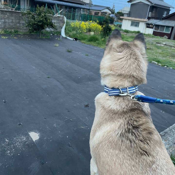 643794b1 ef49 4a84 9394 ff58d95522ed 1648816012739