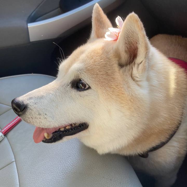 6437b3e4 d96d 4685 832f 29fedeaf83ea 1763969050514