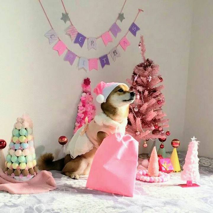 6437c640 1d28 4ec0 a2a4 d8322dd0195f 1545403335131