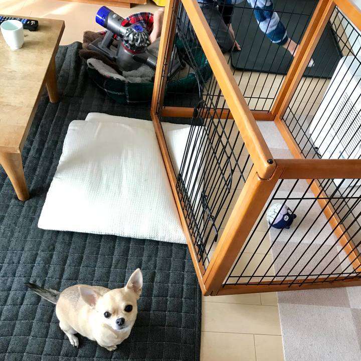 6437e300 343d 4113 b004 776463e57f71 1552710564283