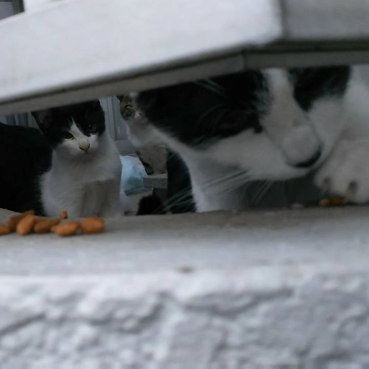 6437fb4d 3fb5 4e8b 8e26 44868b34028d 1542061606279