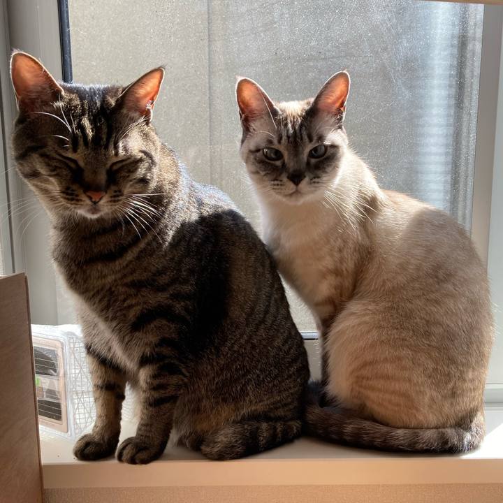 64380f0e bf50 4268 8d01 abc2db2b7864 1618015573372