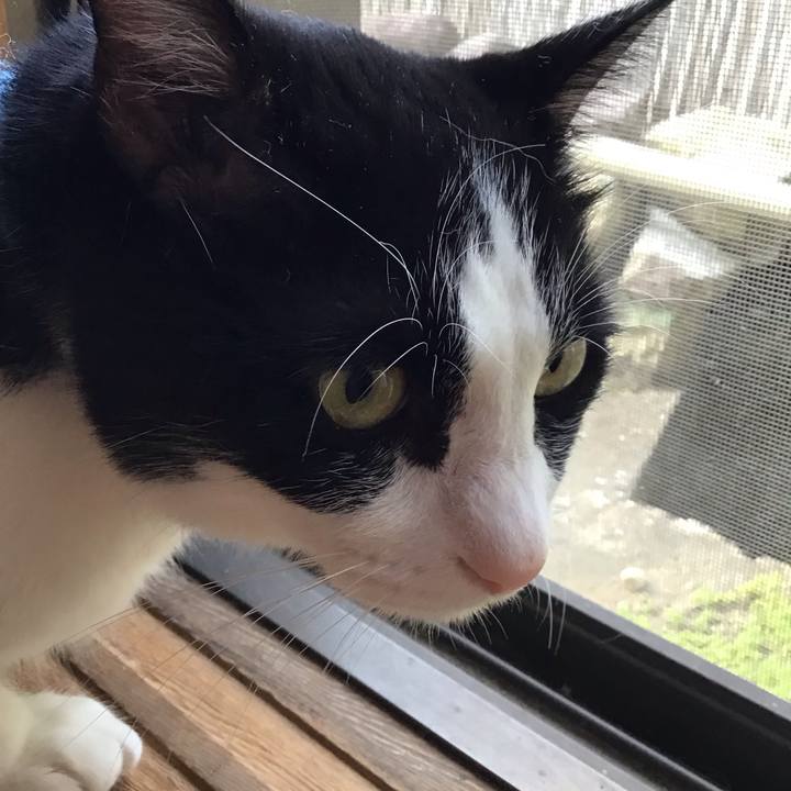 64381bce 502f 4952 b991 0539e9a1c843 1759135373294