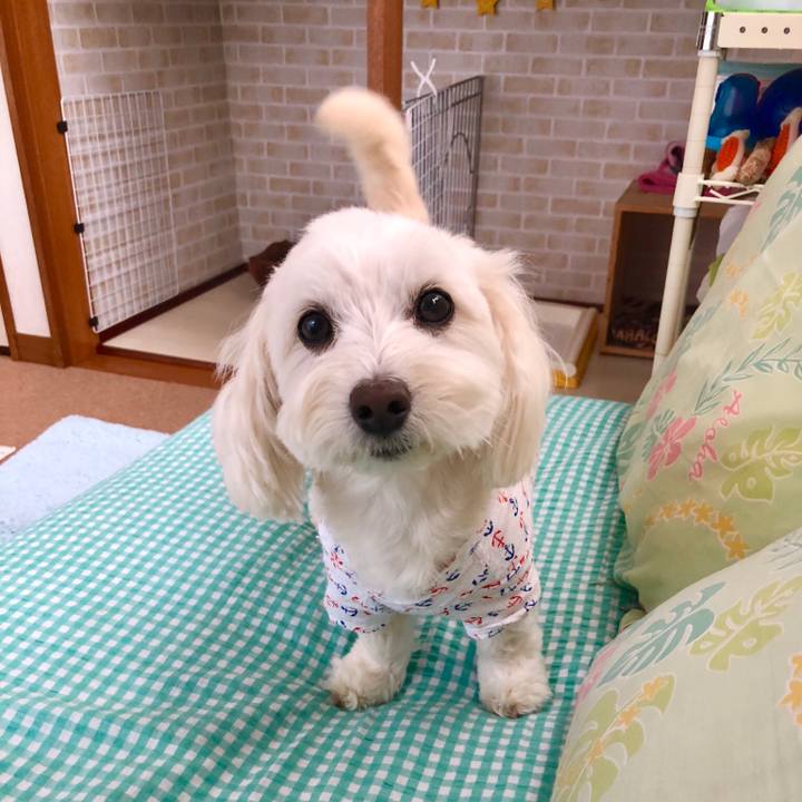 6438222b eaa4 44a2 9238 4c72b946c109 1525225324209