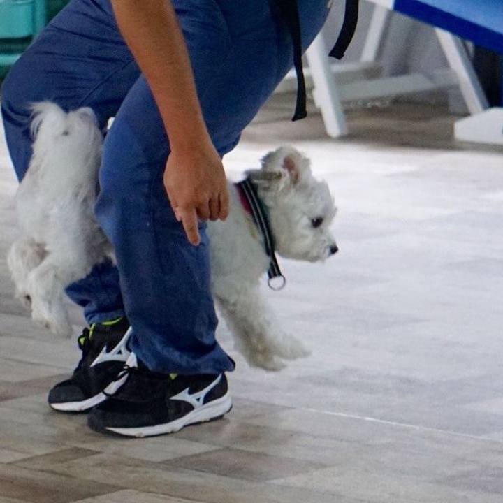 6438329f 3099 4a9c 9cde 82aa7b808645 1537267119793