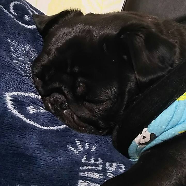 643833fd ebcf 43cd b2e9 4467545d1a8a 1548684250341