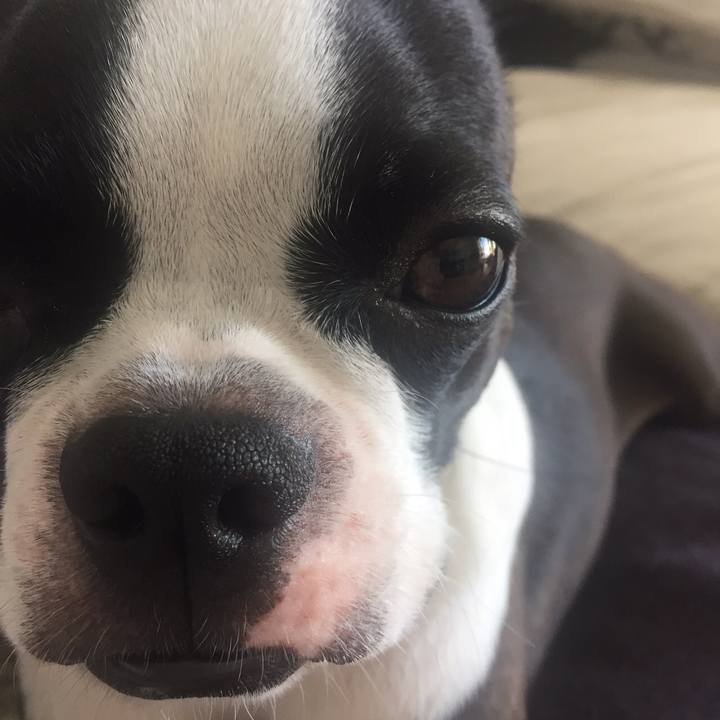 64384be6 5e6d 489a af67 01ccc1036f4b 1538461618763