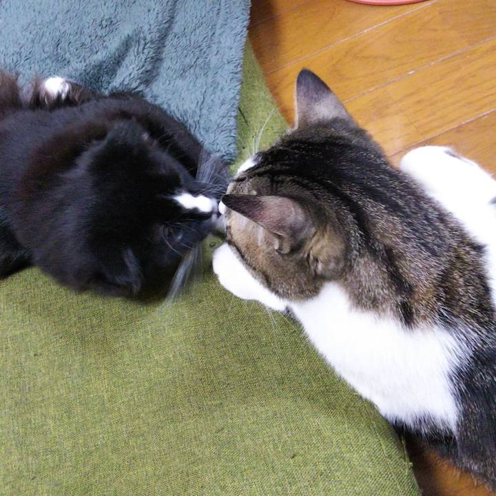 6439321c 397f 4a5a 936b e02c58b3d333 1645003454169