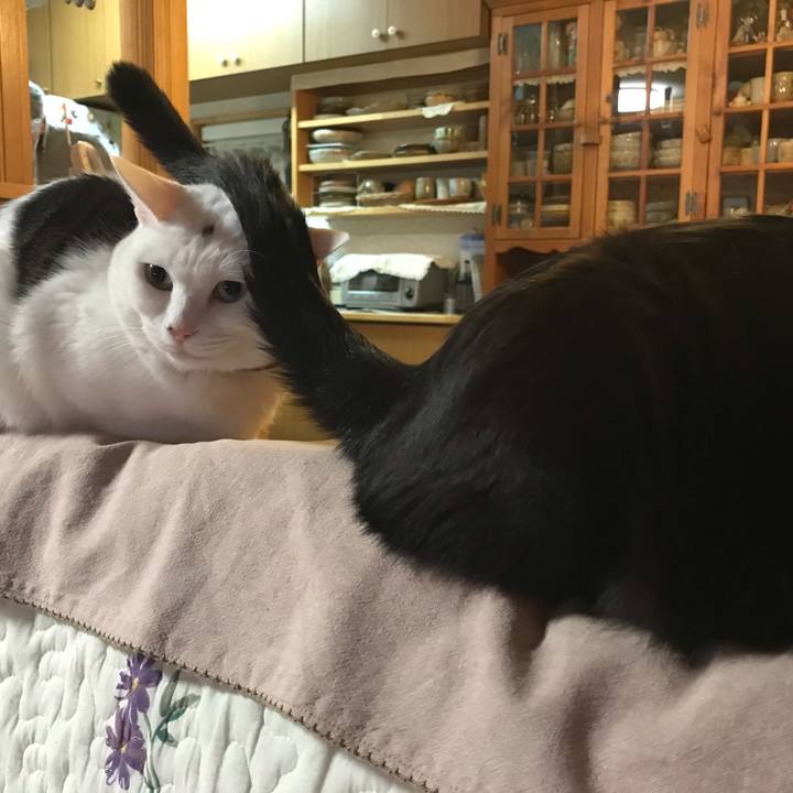 643958b5 869f 4ff2 81c1 c329b5647461 1621852415072