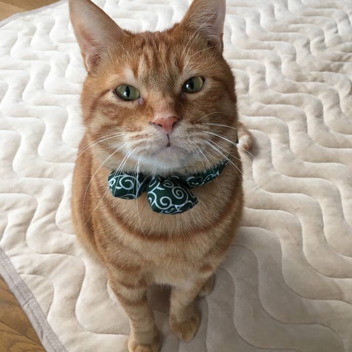 6439848f 012e 483e 8c40 b551a1c338fb 1546212417701